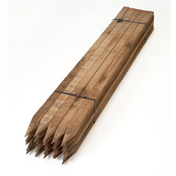 Wooden Fence Posts - 1in x 2in x 60in